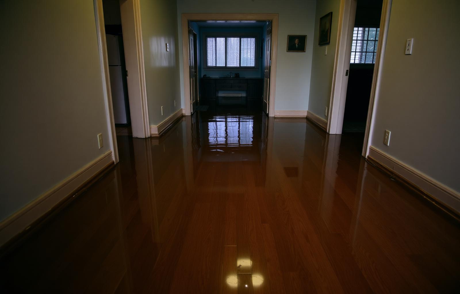 Flooded interior with standing water